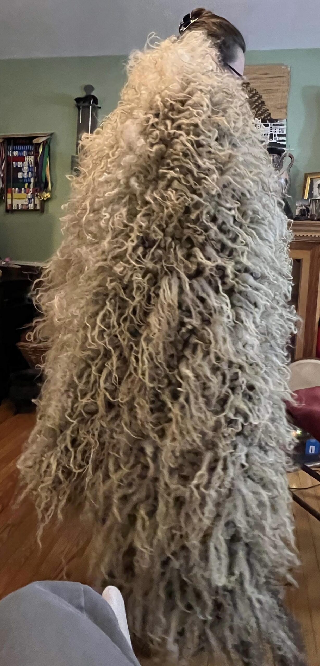 Weave a Viking Age Varafeldr on a Warp Weighted Loom